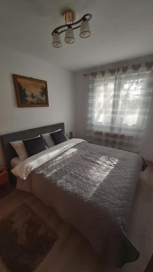 Relax Apartament Satu Mare Exterior foto
